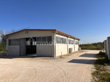 Capannone in Affitto