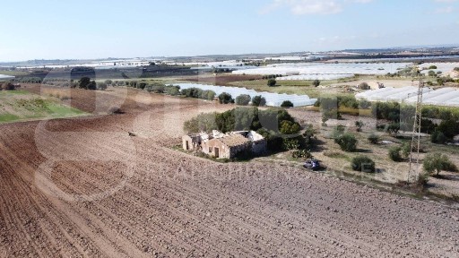 Rustico Contrada Burgi, Noto