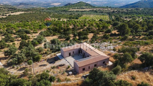 Rustico Contrada Grattaluri snc, Noto