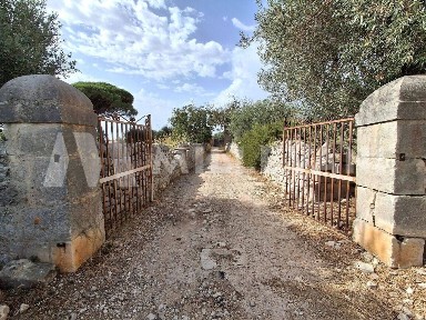 Casale Sp66, Rosolini