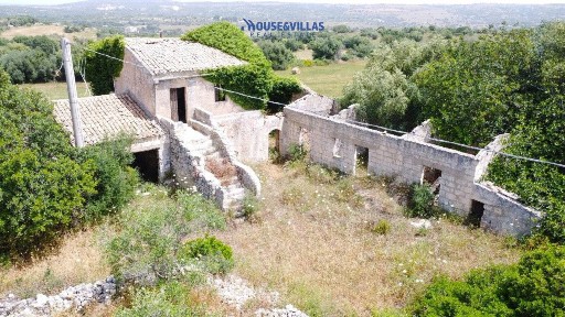 Casale lenzavacche, Lenzevacche, Noto