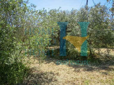 Rustico via Tommaso Fazello 228, Centro, Noto