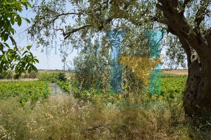 Rustico via Tommaso Fazello 228, Centro, Noto