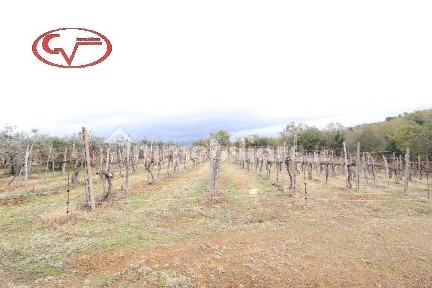Capannone in Vendita