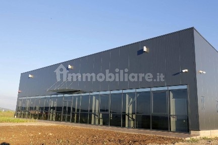 Capannone all'asta, Castiglion Fibocchi