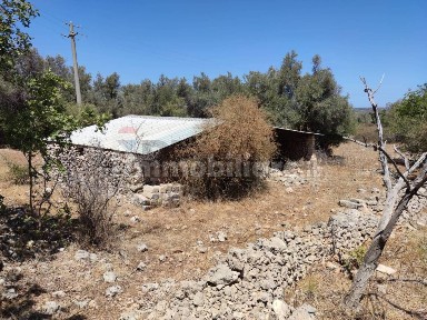 Rustico Sp 73 sn, Noto