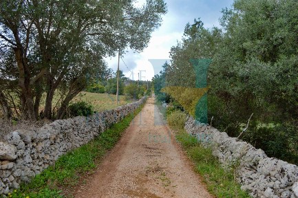 Rustico via Tommaso Fazello 228, Centro, Noto