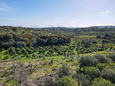 Casale via Tommaso Fazello 228, Centro, Noto
