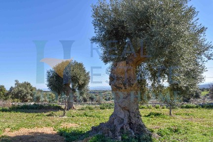 Casale via Tommaso Fazello 228, Centro, Noto