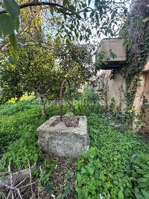 Rustico Sp26, Noto