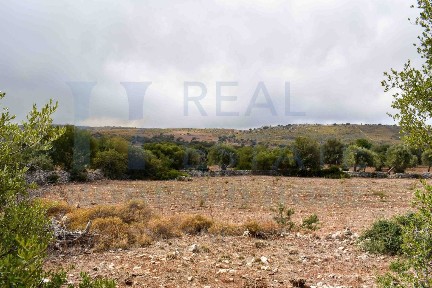 Casale via Tommaso Fazello 228, Centro, Noto