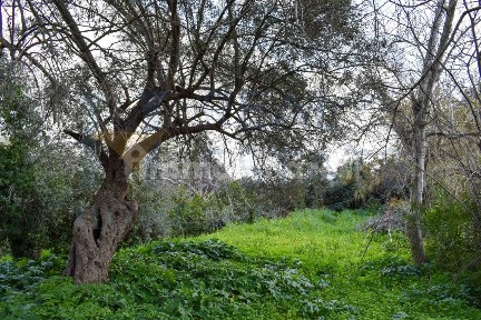 Casale Contrada Stallaini, Canicattini Bagni