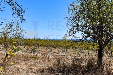 Rustico via Tommaso Fazello 228, Centro, Noto