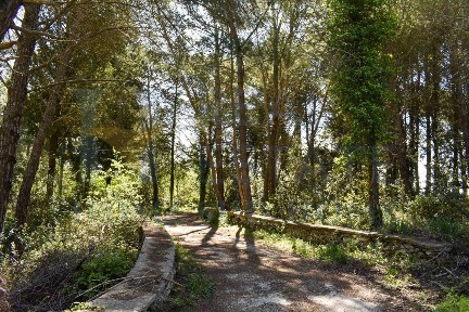 Casale Strada Statale Siracusana, Palazzolo Acreide