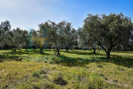Casale Ronco Italia 1, Centro, Palazzolo Acreide