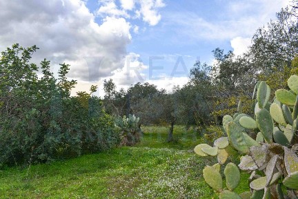 Casale Contrada Fiumara, Noto