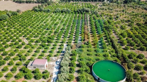 Casale, buono stato, 26080 m², Centro, Avola