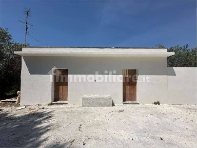 Rustico Sp 51, Noto