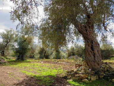 Rustico, da ristrutturare, 150200 m², Centro, Noto