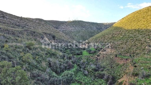 Rustico, da ristrutturare, 40000 m², Avola