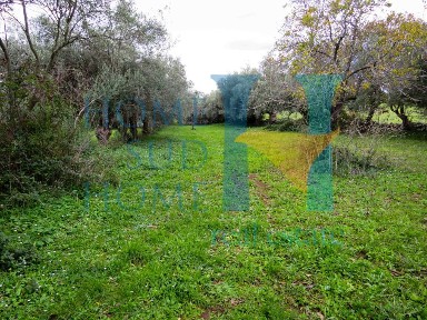 Rustico via Tommaso Fazello 228, Centro, Noto
