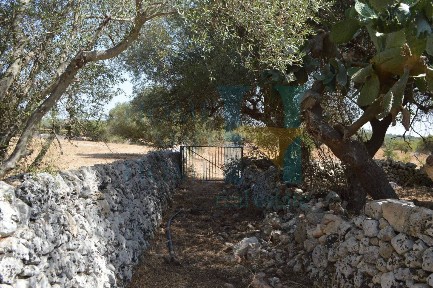 Rustico via Tommaso Fazello, Centro, Noto