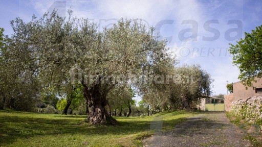 Rustico, da ristrutturare, 250 m², Noto