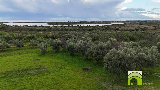 Rustico Sp19, Noto
