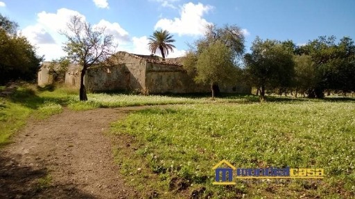 Rustico c.da Sichilli, Noto