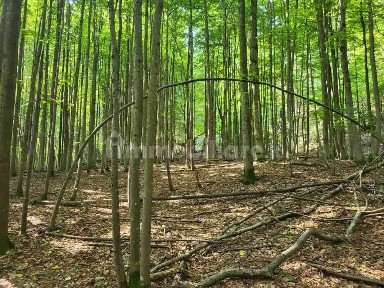 Scopello, Regione Ordarino