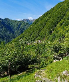 Boccioleto