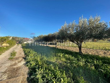 Villa unifamiliare, buono stato, 150 m², Serraferlicchio, Montaperto, Giardina Gallotti, Agrigento