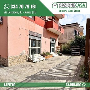 Attività commerciale in Affitto