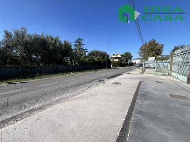 Attività commerciale in Affitto