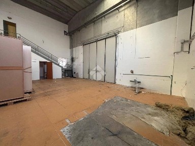 Rende, Via Orazio Antinori, 46