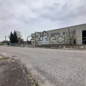 Capannone in Affitto
