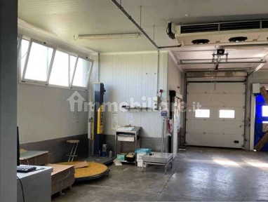 Laboratorio all'asta via Cesure 29, Castel d'Ario