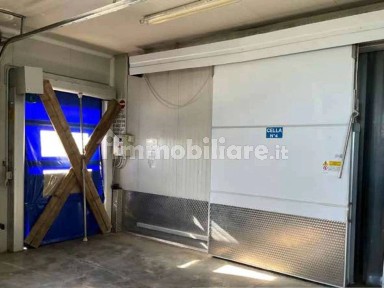 Laboratorio all'asta via Cesure 29, Castel d'Ario