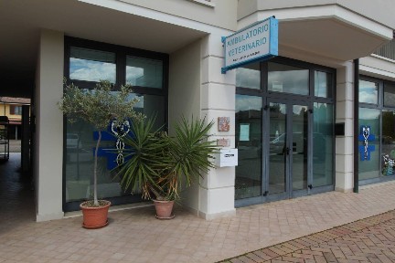 Locale commerciale in Vendita