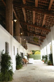 Agriturismo in Vendita