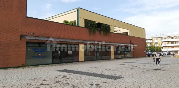 Mantova, Lunetta Frassino
