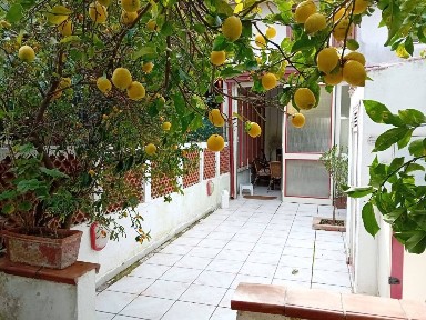 Villa a schiera viale Nausicaa, Roccelletta, Borgia