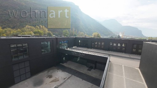 Magazzino - Deposito in Affitto