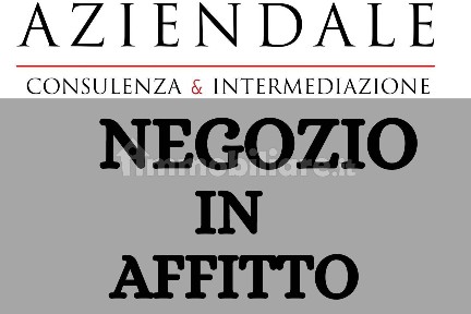 Locale commerciale in Affitto