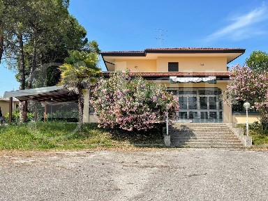 Ristorante in Affitto