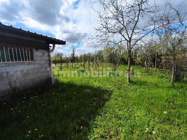 Magazzino - Deposito in Vendita