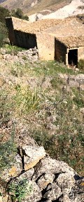 Capannone in Vendita