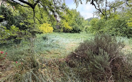 Portalbera, Via Andrea Costa
