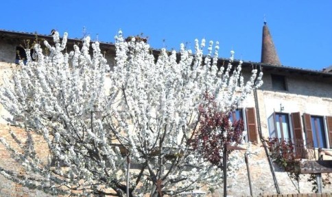 Terratetto unifamiliare Casteggio via Circonvallazione Cantu' 37, Centro, Casteggio
