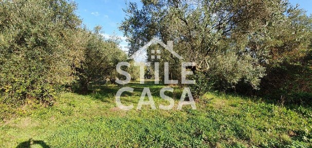 Magazzino - Deposito in Vendita